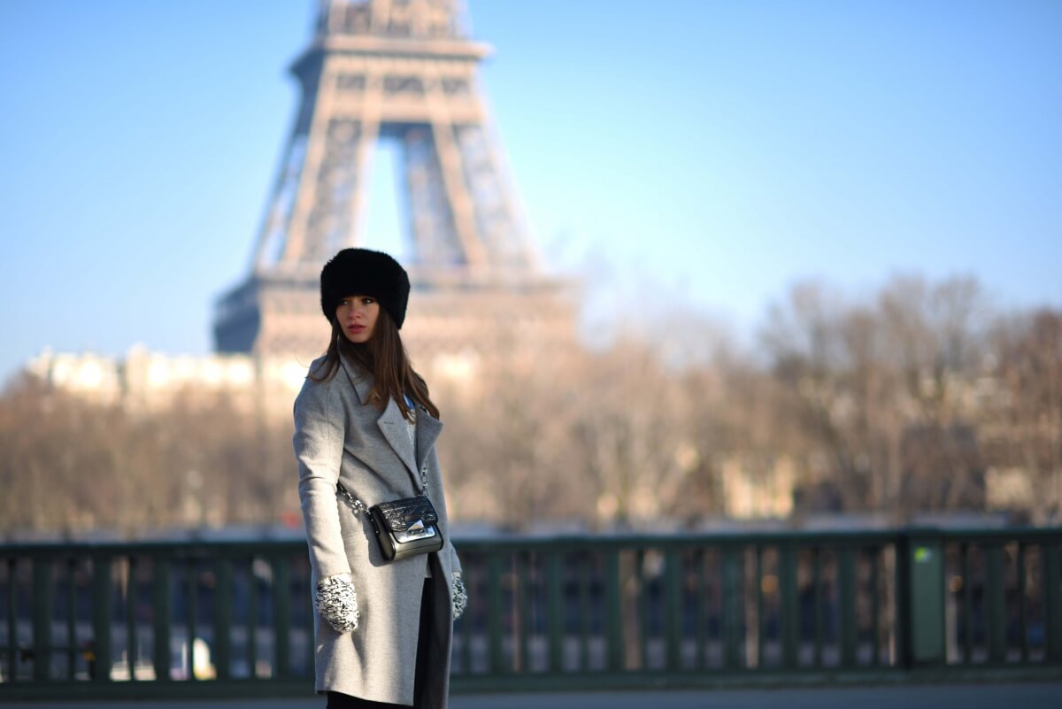 The Wild Parisian Pont Bir-Hakeim