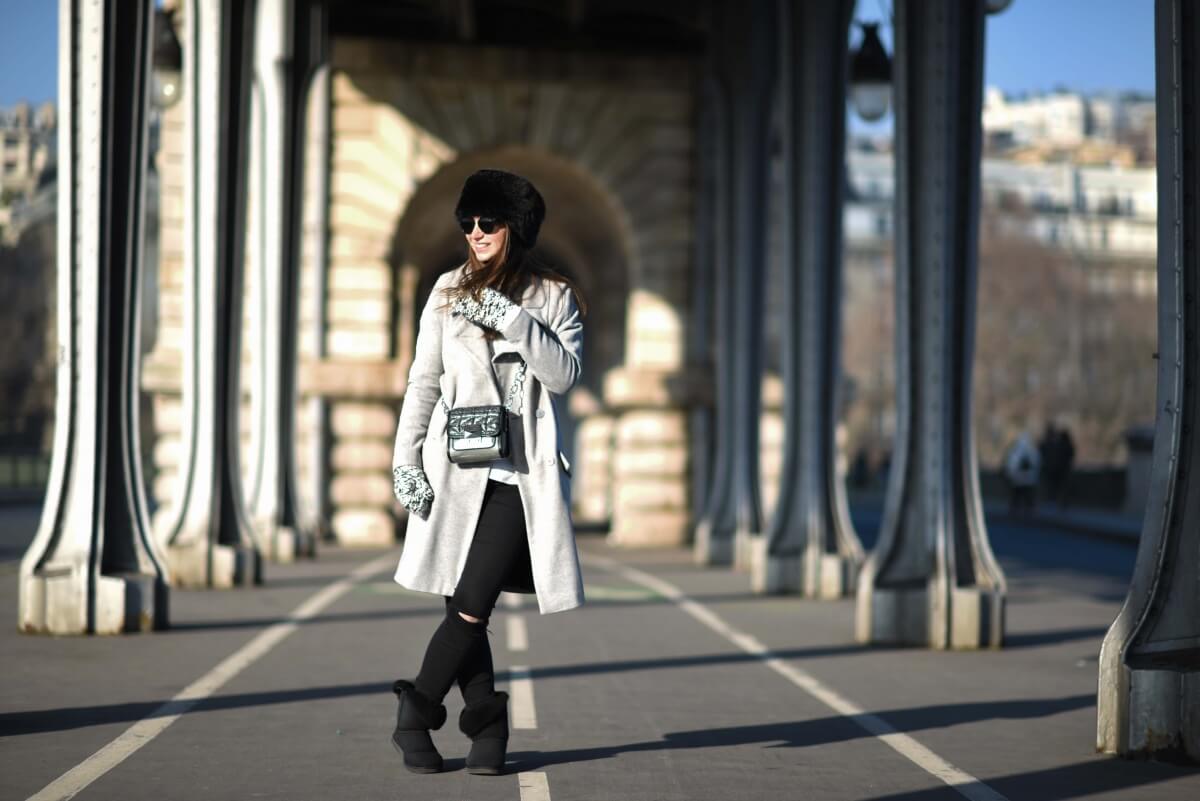 The Wild Parisian Pont Bir-Hakeim