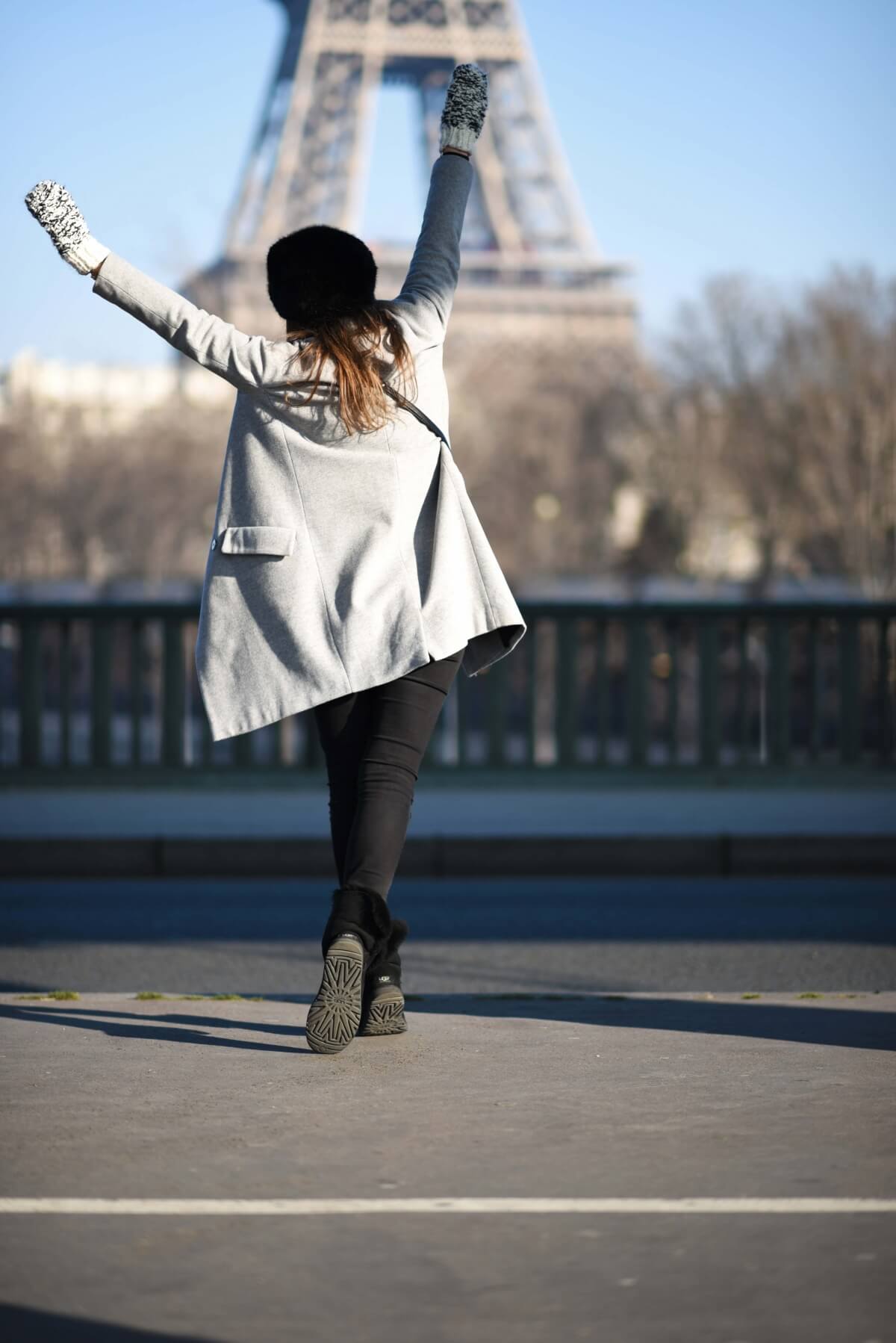 The Wild Parisian Pont Bir-Hakeim