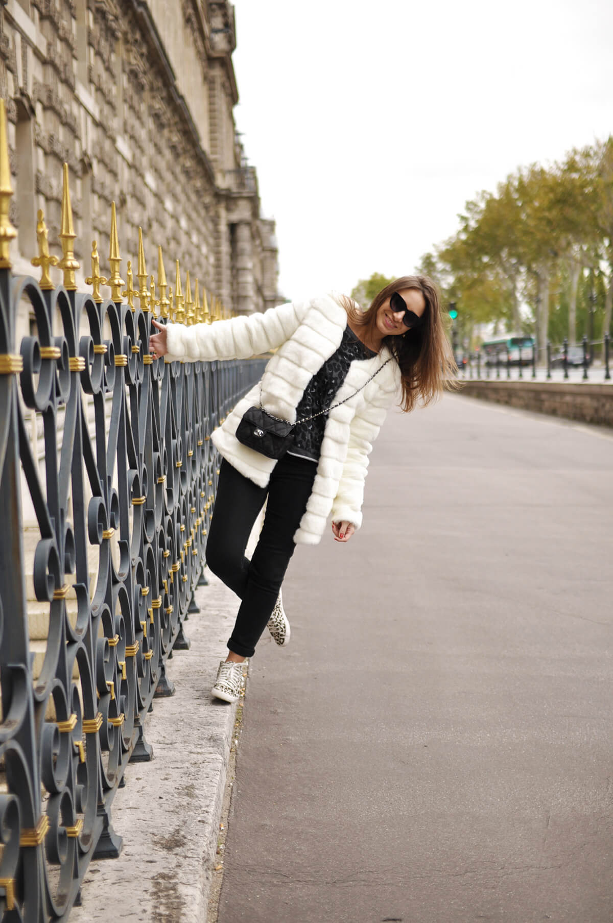 The Wild Parisian au louvre
