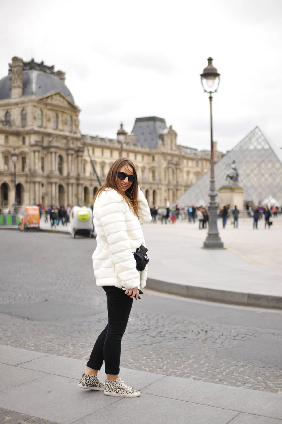 The Wild Parisian au louvre