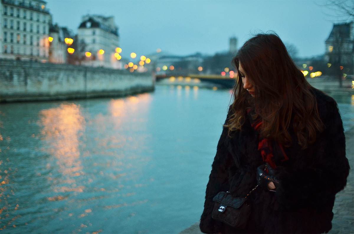 The Wild Parisian Ile Saint Louis