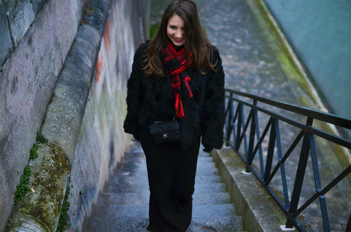 The Wild Parisian Ile Saint Louis