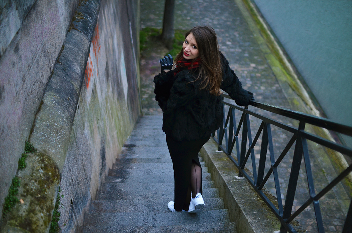 The Wild Parisian Ile Saint Louis
