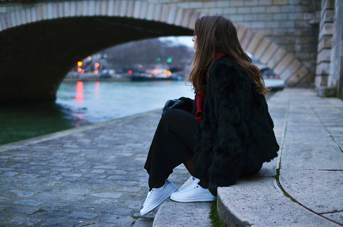 The Wild Parisian Ile Saint Louis