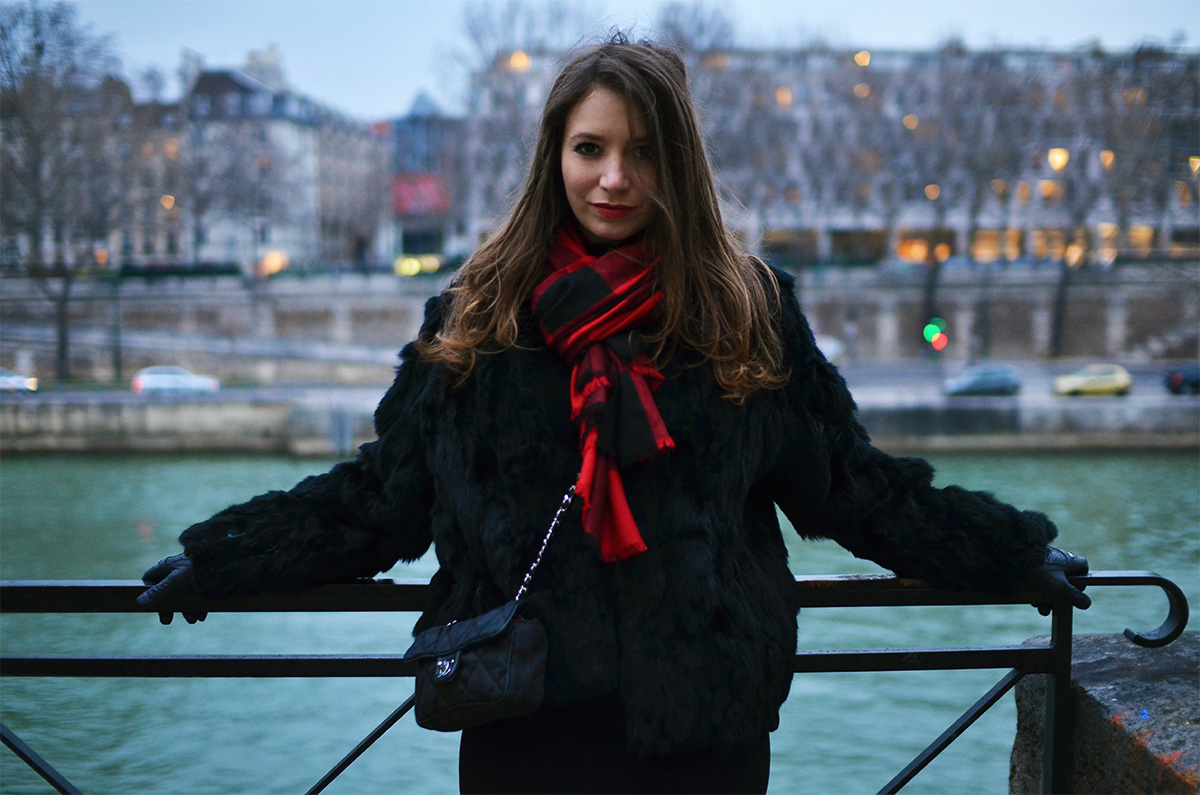The Wild Parisian Ile Saint Louis