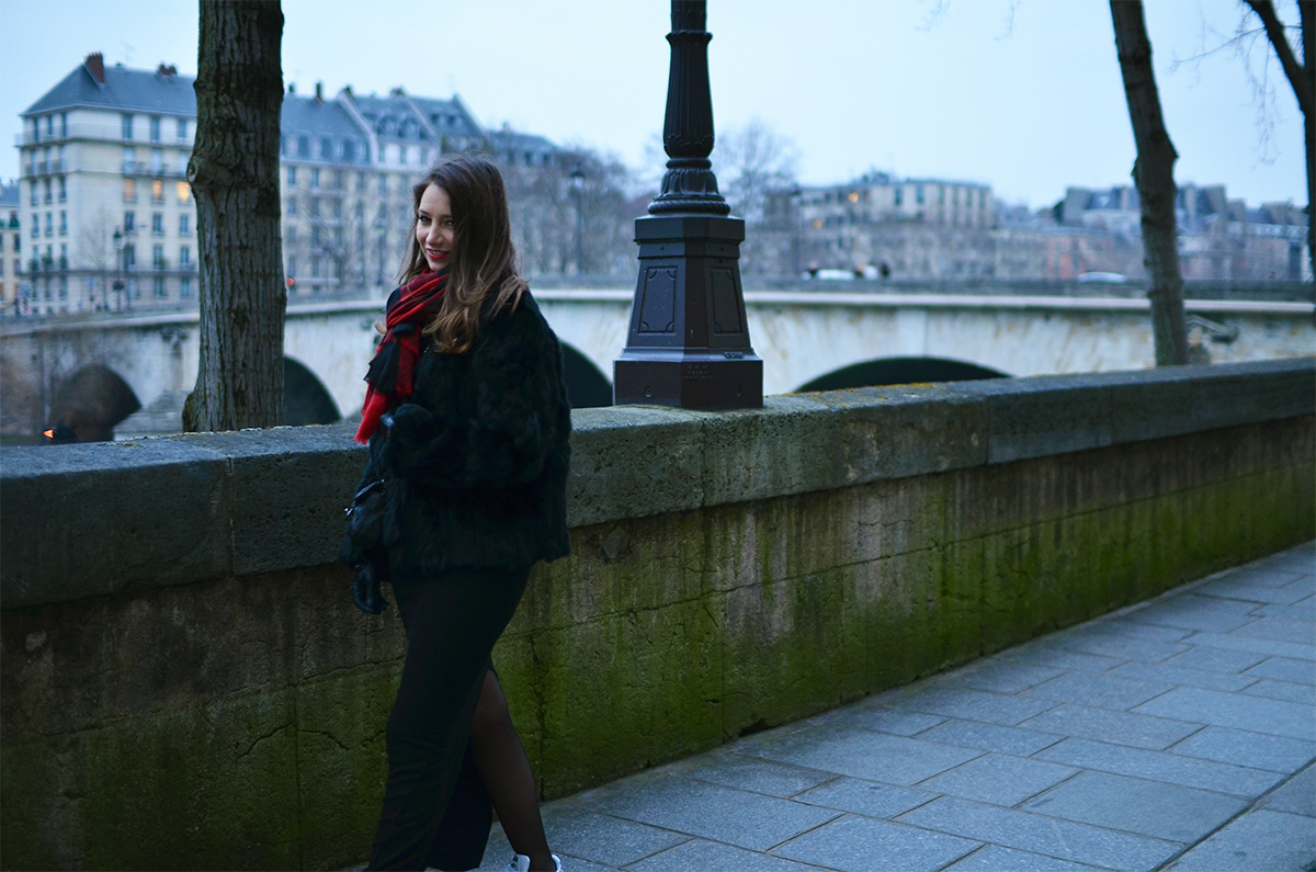 The Wild Parisian Ile Saint Louis
