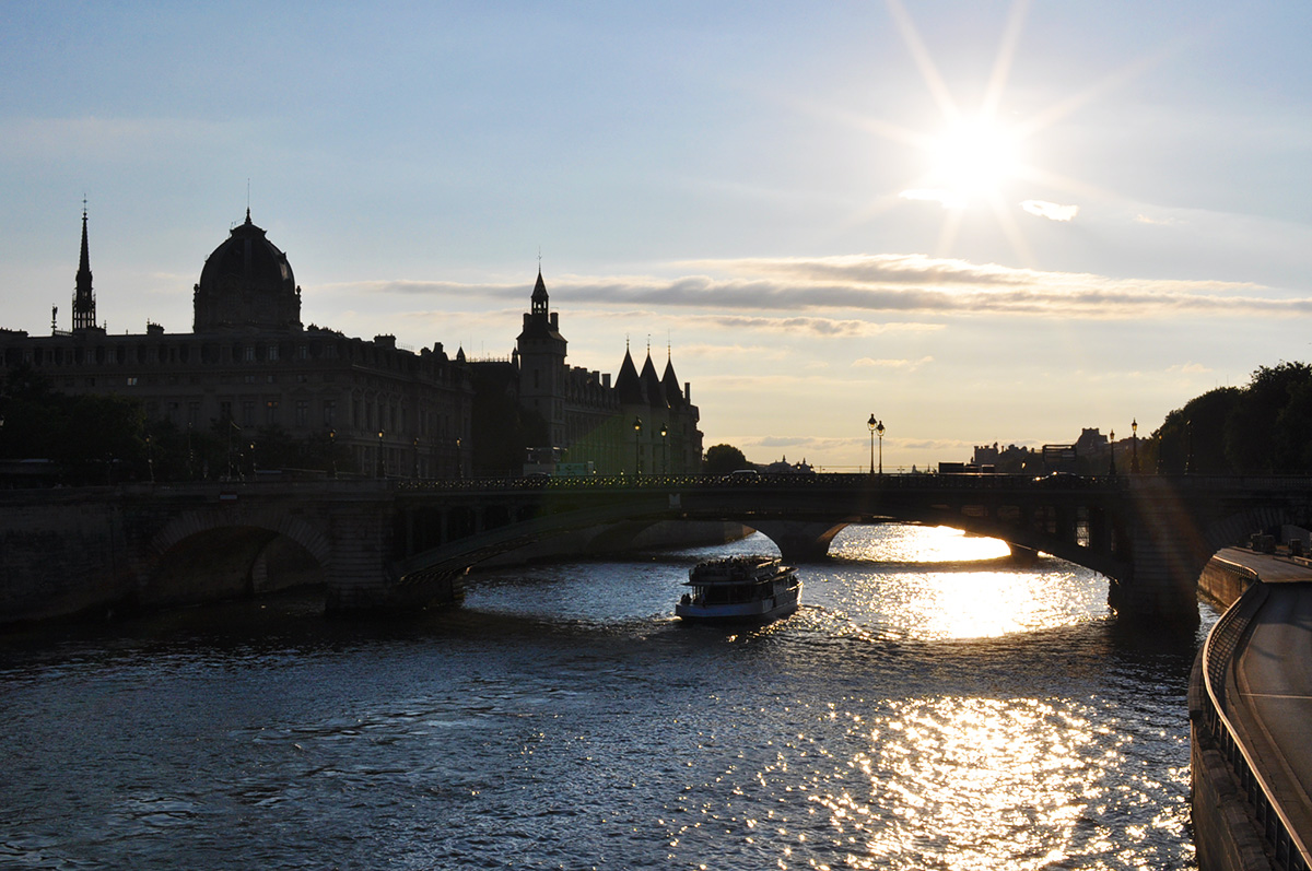 The Wild Parisian sur l'île de la cité