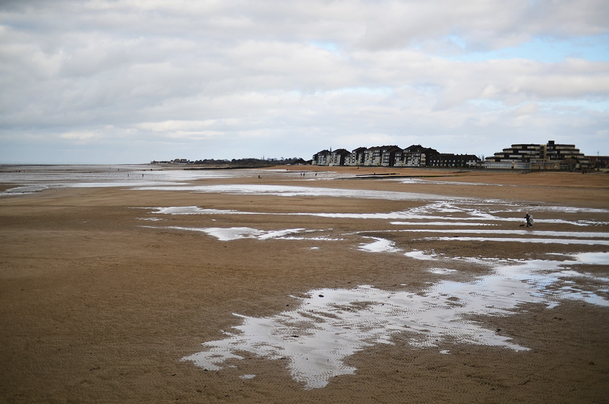 The Wild Parisian en Normandie