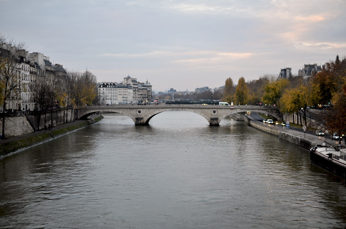 The Wild Parisian sur pont Marie