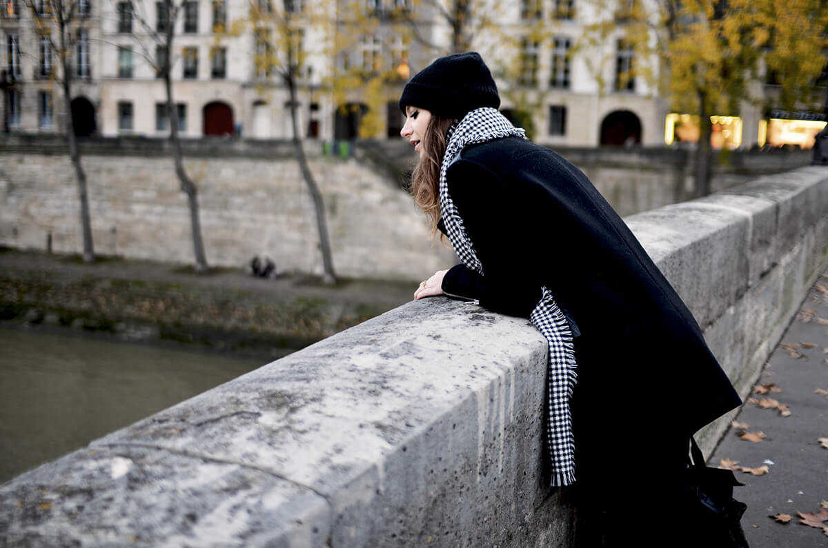 The Wild Parisian sur pont Marie