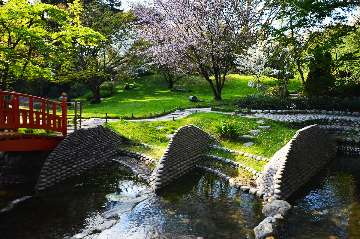 The Wild Parisian jardin japonais