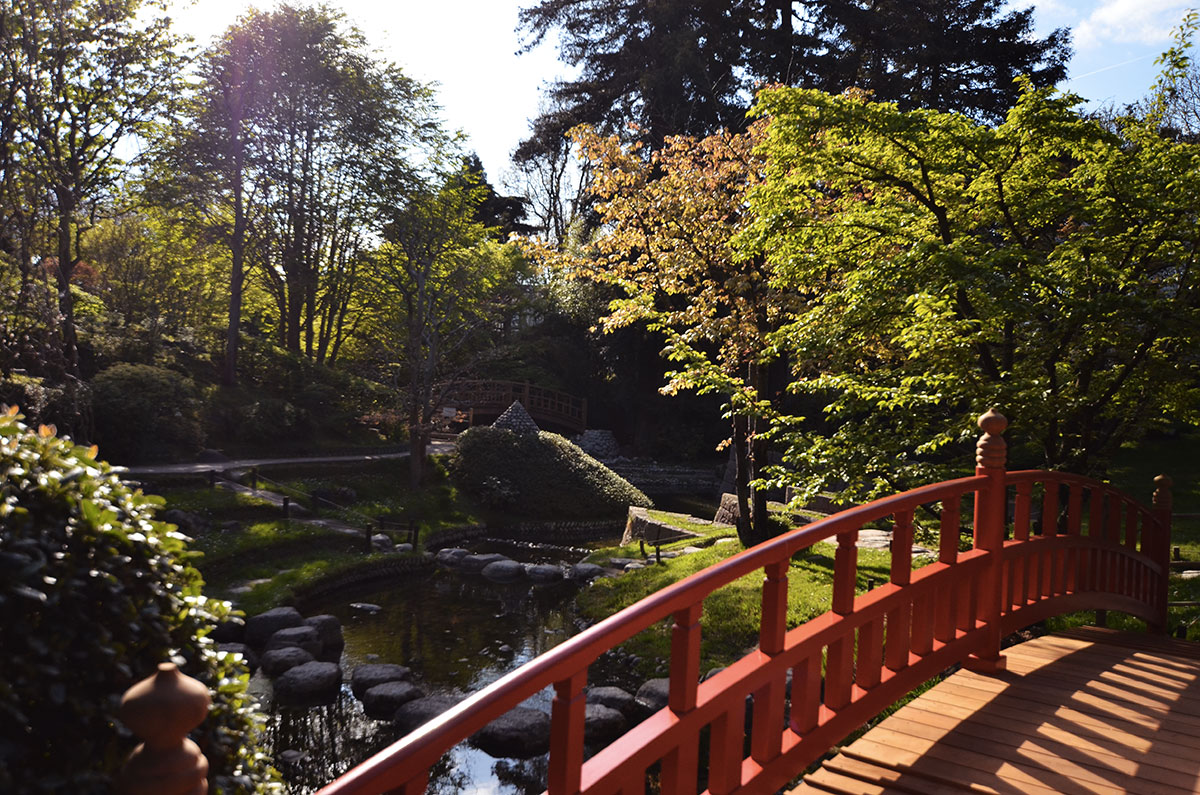 The Wild Parisian jardin japonais