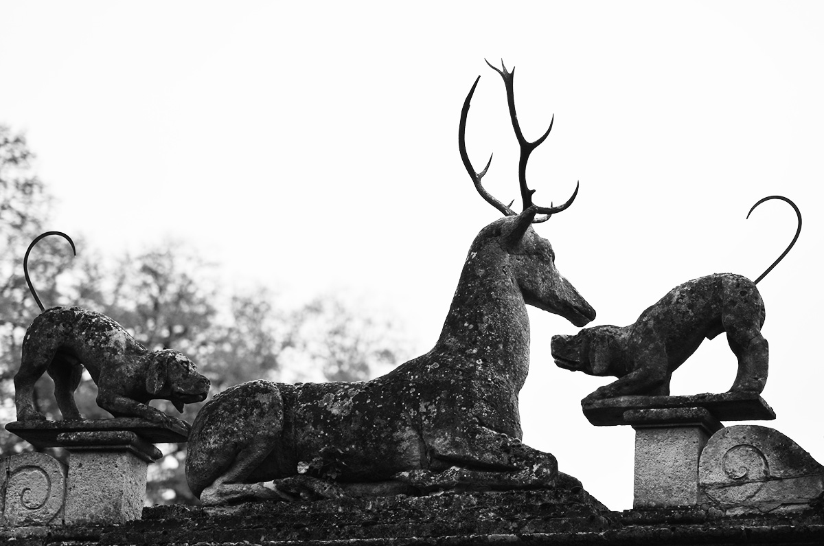 The Wild Parisian château de Raray