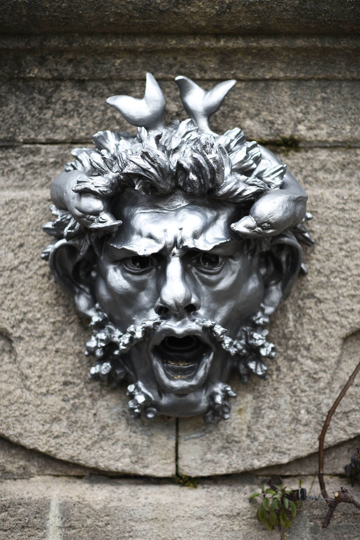 The Wild Parisian serres d'Auteuil