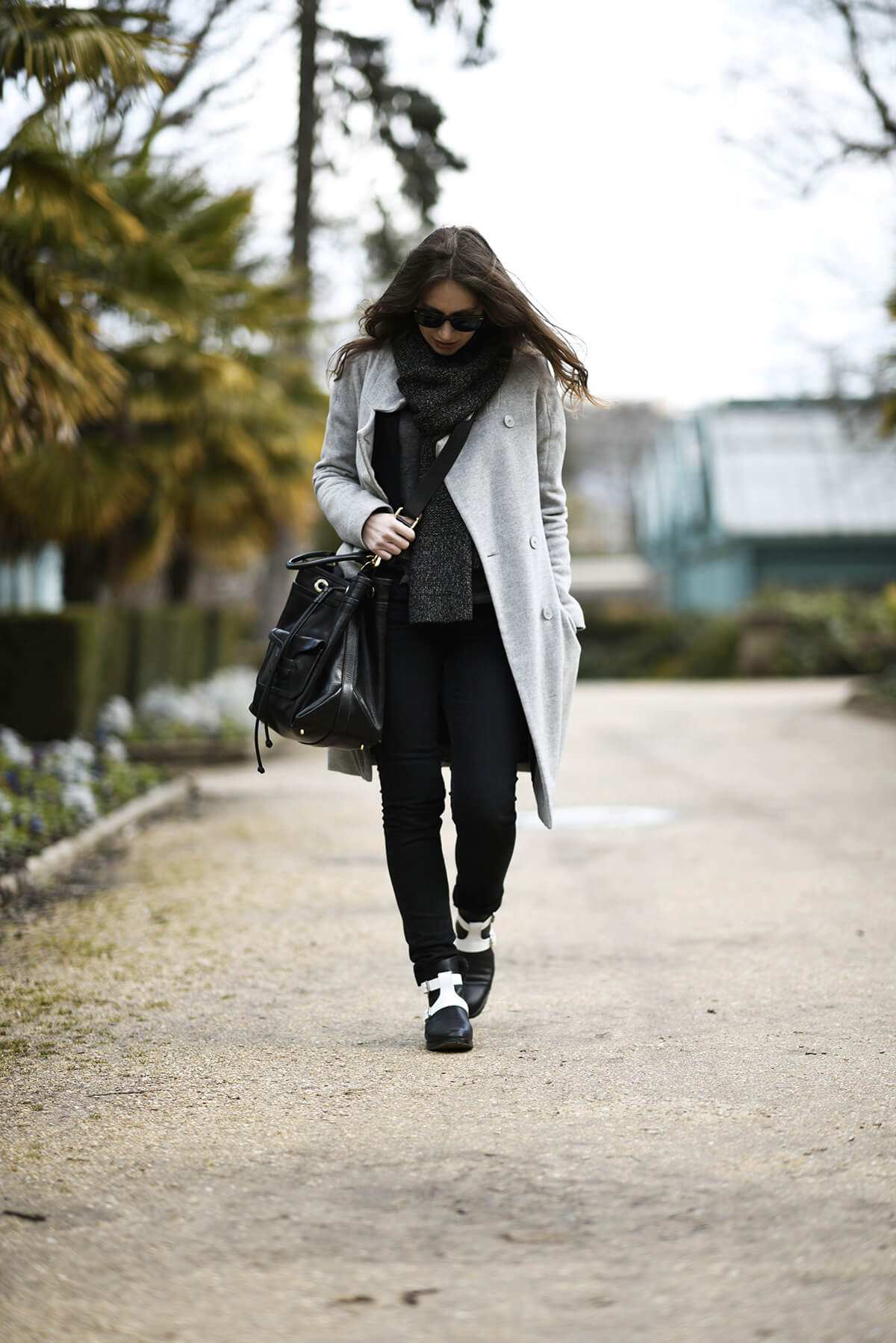 The Wild Parisian serres d'Auteuil