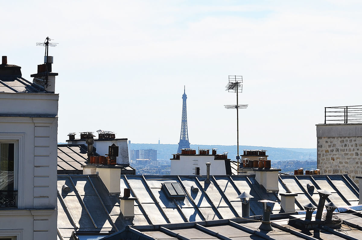 The Wild Parisian_montmartre