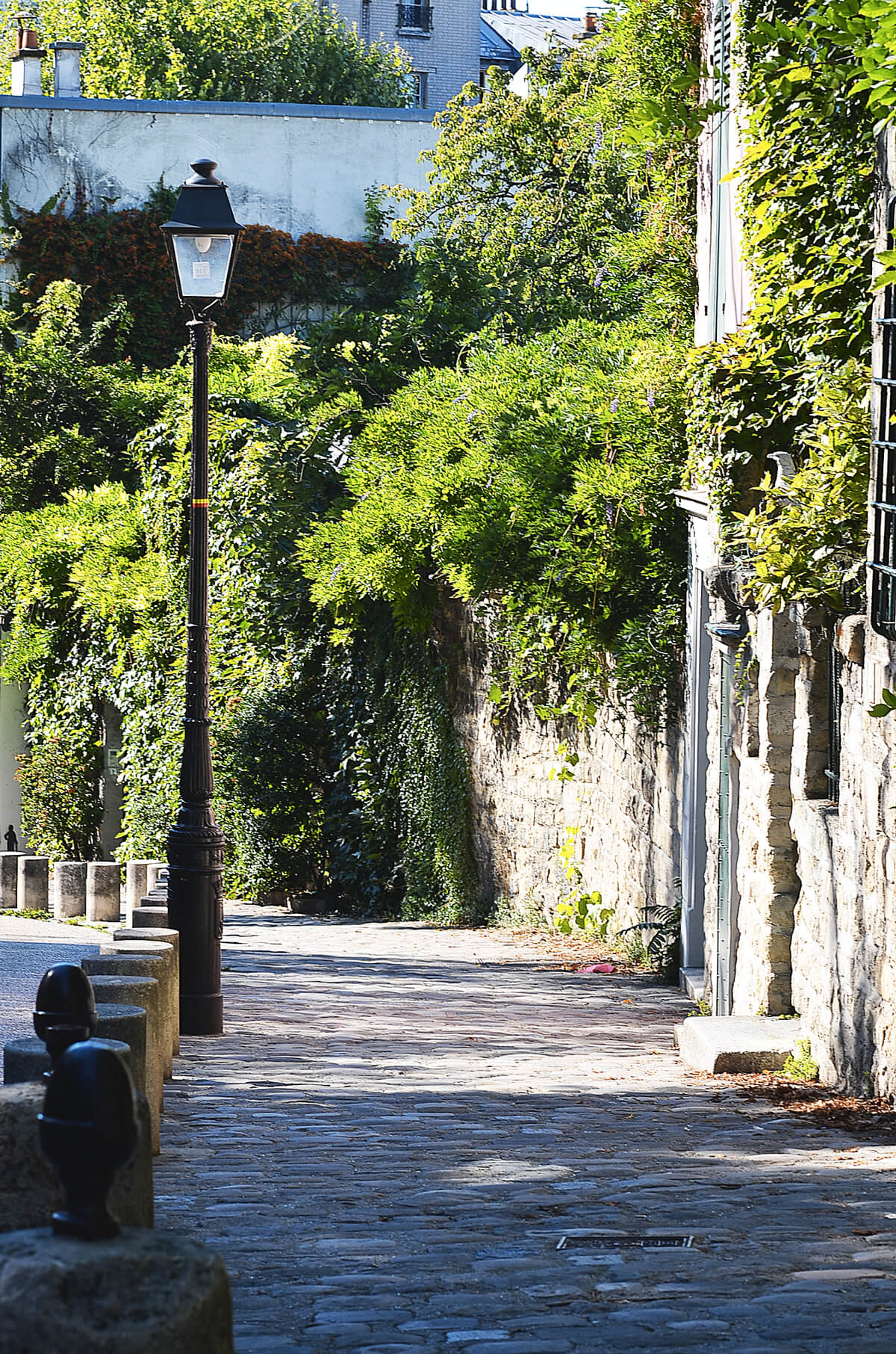 The Wild Parisian_montmartre