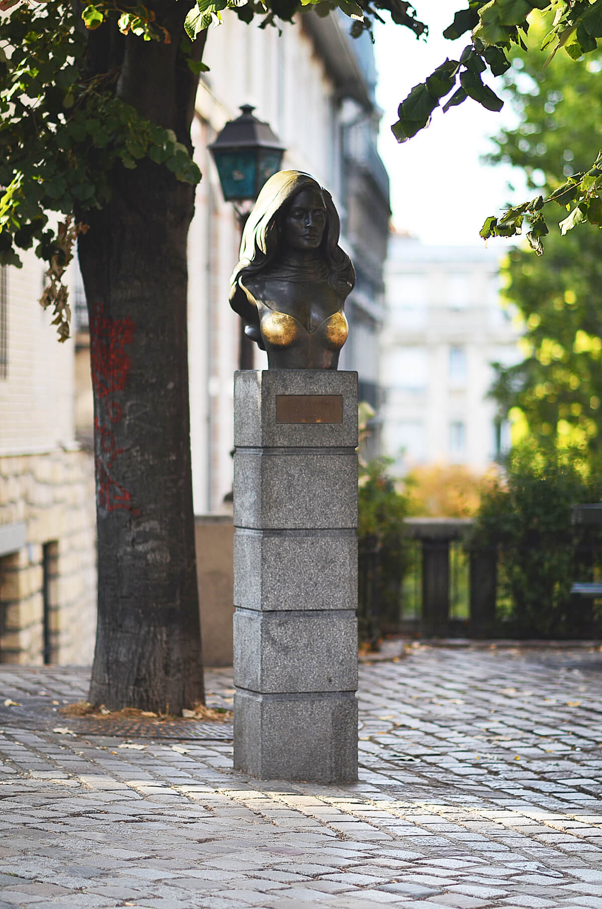 The Wild Parisian_montmartre