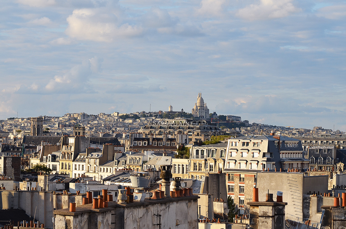 The Wild Parisian_43up on the roof