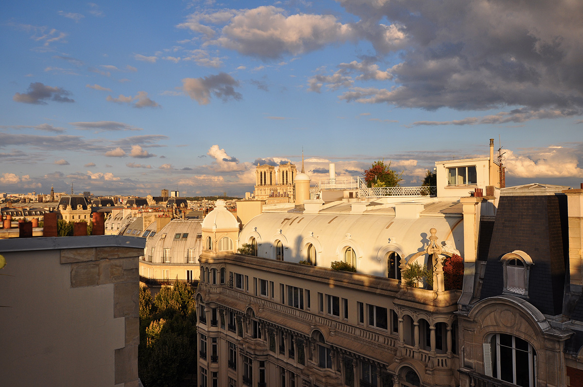 The Wild Parisian_43up on the roof