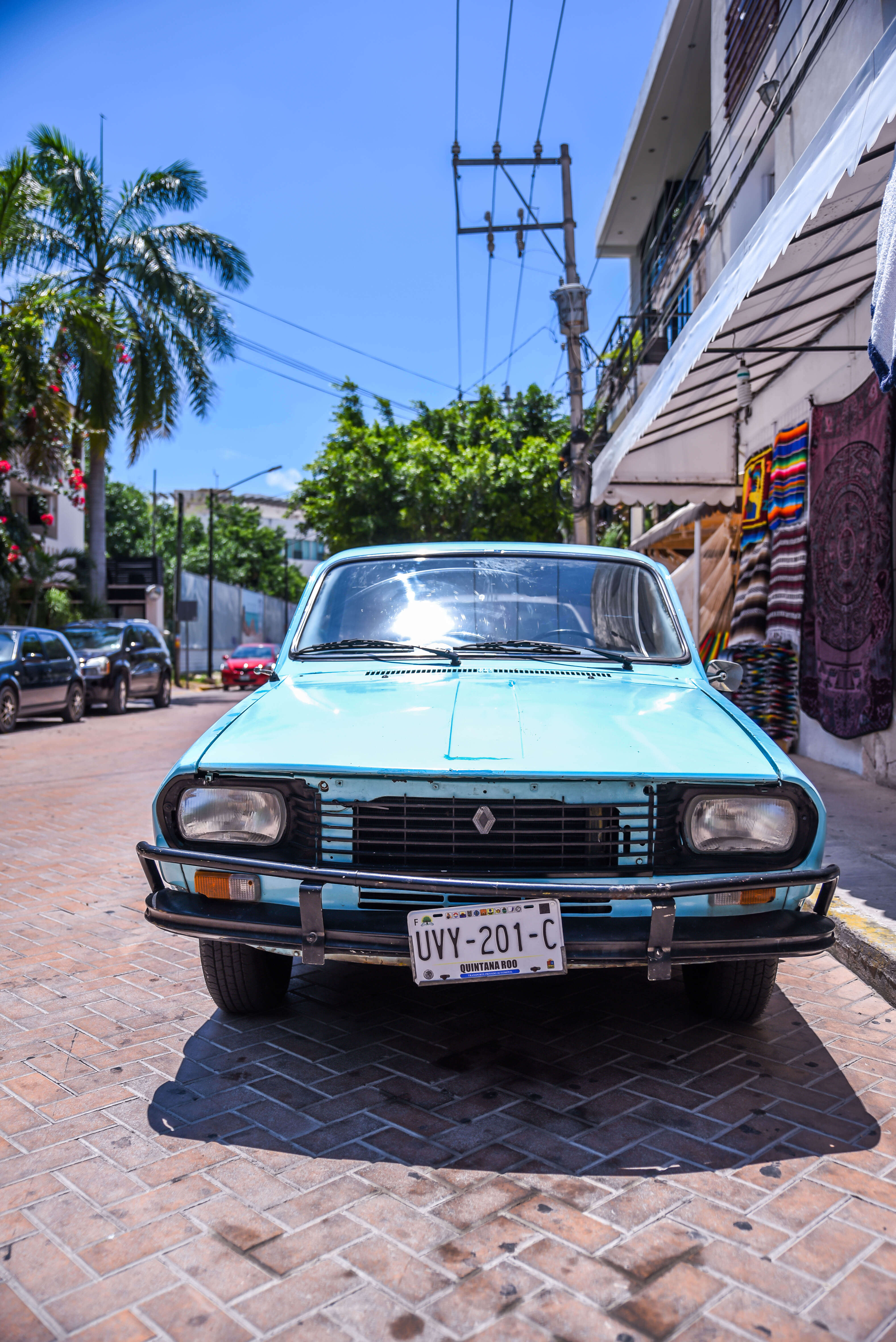 The Wild Parisian - Playa del Carmen